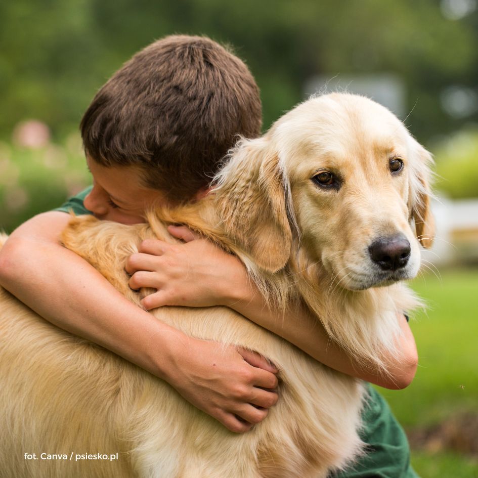 Rasy psów dla dzieci – top 10
