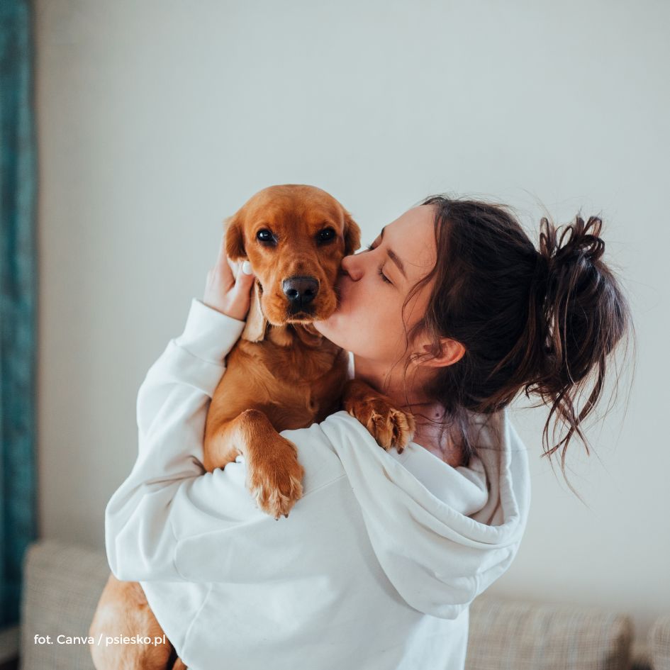 Jak dbać o zdrowie psa?